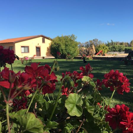 Agriturismo Sechi Campanedda المظهر الخارجي الصورة