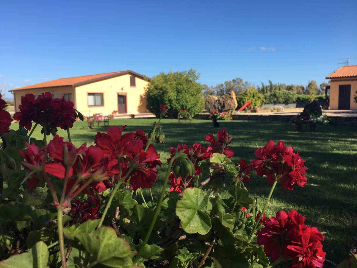 Agriturismo Sechi Campanedda المظهر الخارجي الصورة